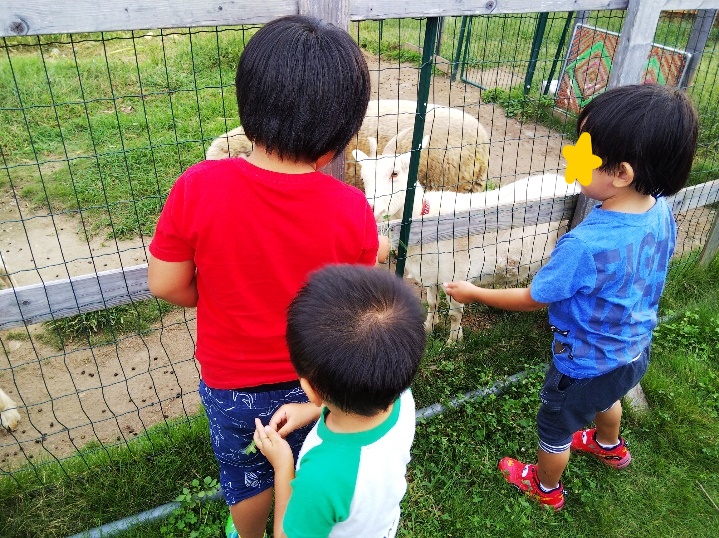 おさんぽ | ほしぞら